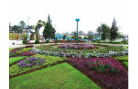 Vé máy bay đi Đà lạt